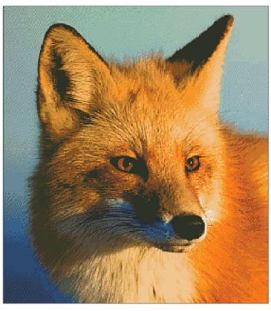 (image for) Fox Close Up
